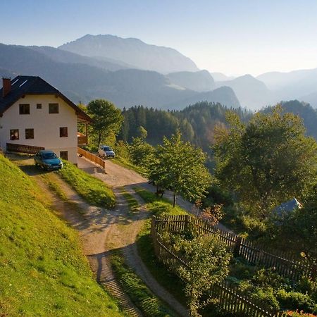 Turisticna Kmetija Perk Villa Solčava Exterior foto