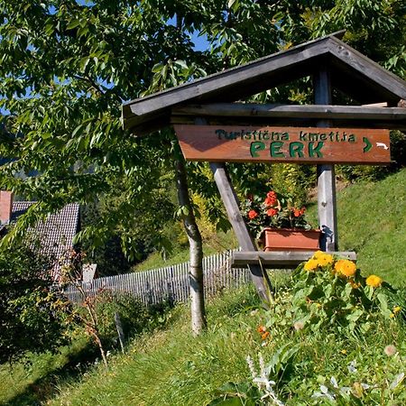 Turisticna Kmetija Perk Villa Solčava Exterior foto