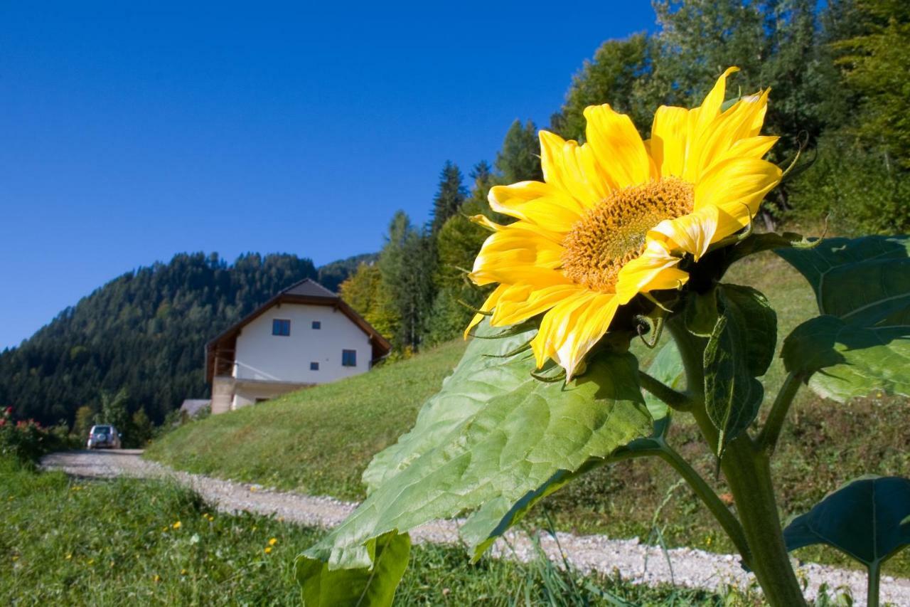 Turisticna Kmetija Perk Villa Solčava Exterior foto