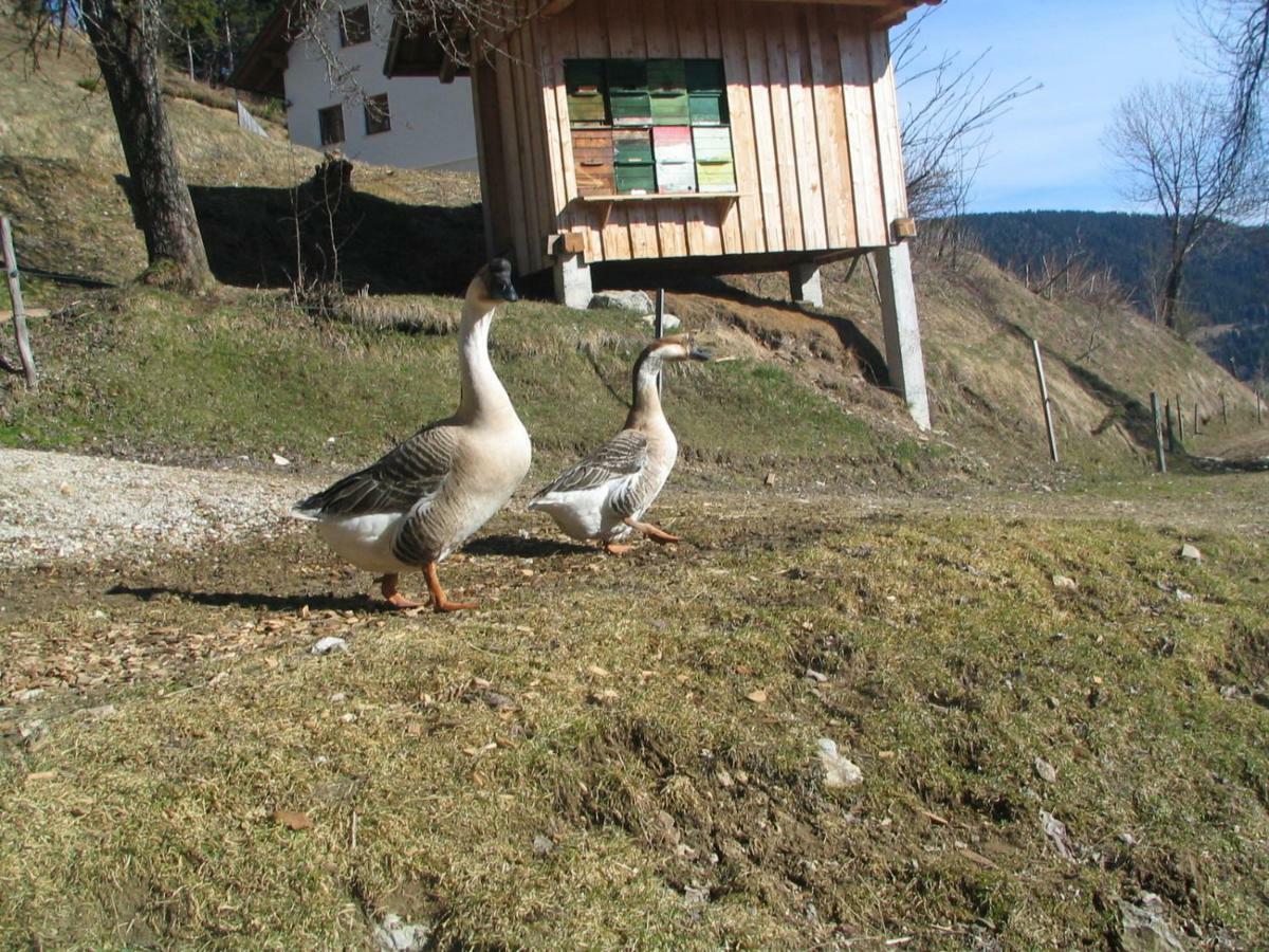 Turisticna Kmetija Perk Villa Solčava Exterior foto