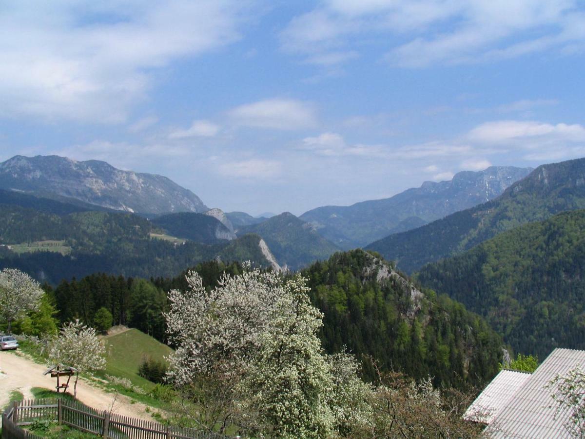 Turisticna Kmetija Perk Villa Solčava Exterior foto