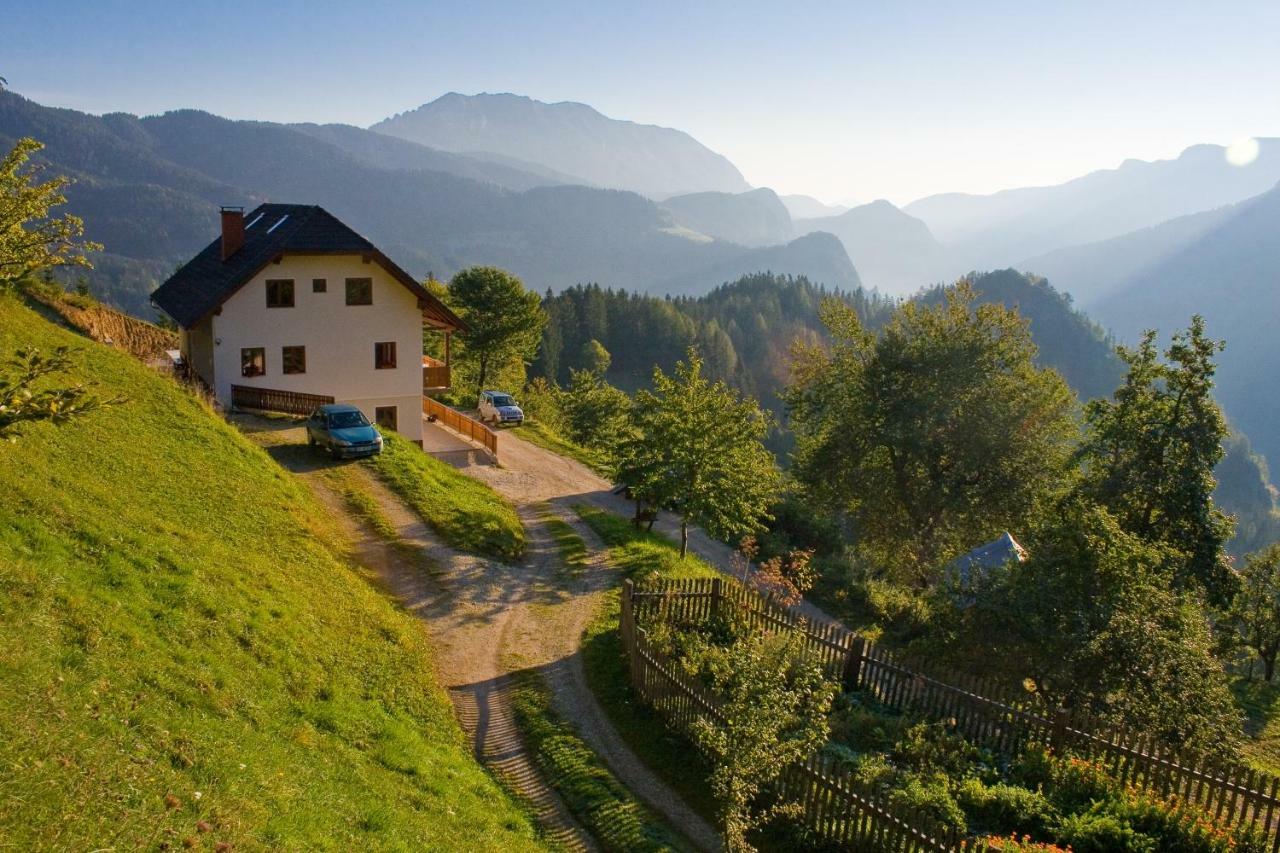 Turisticna Kmetija Perk Villa Solčava Exterior foto