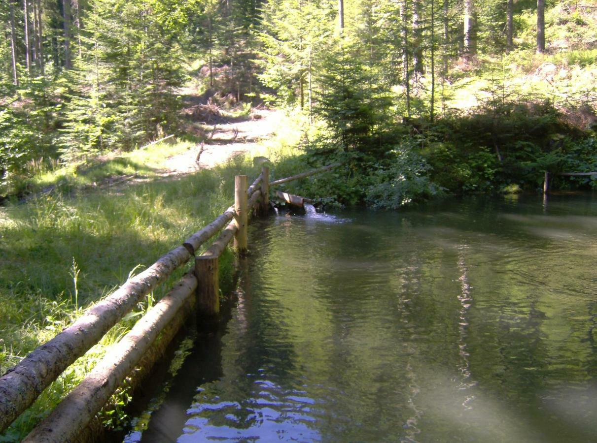 Turisticna Kmetija Perk Villa Solčava Exterior foto