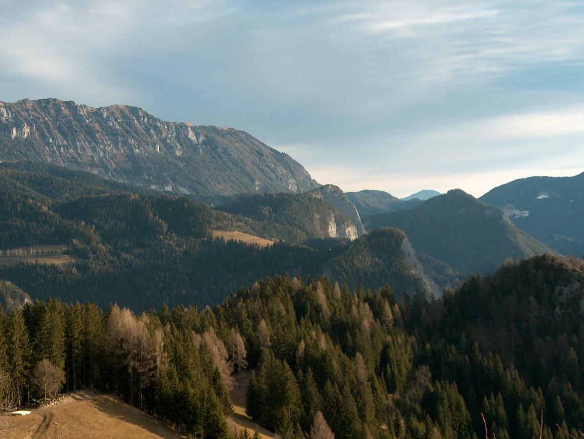 Turisticna Kmetija Perk Villa Solčava Exterior foto