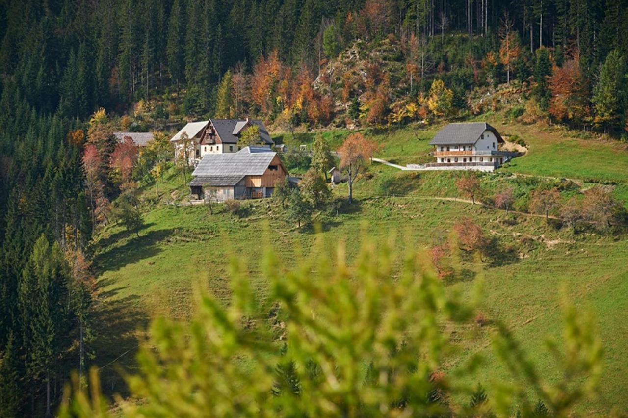 Turisticna Kmetija Perk Villa Solčava Exterior foto