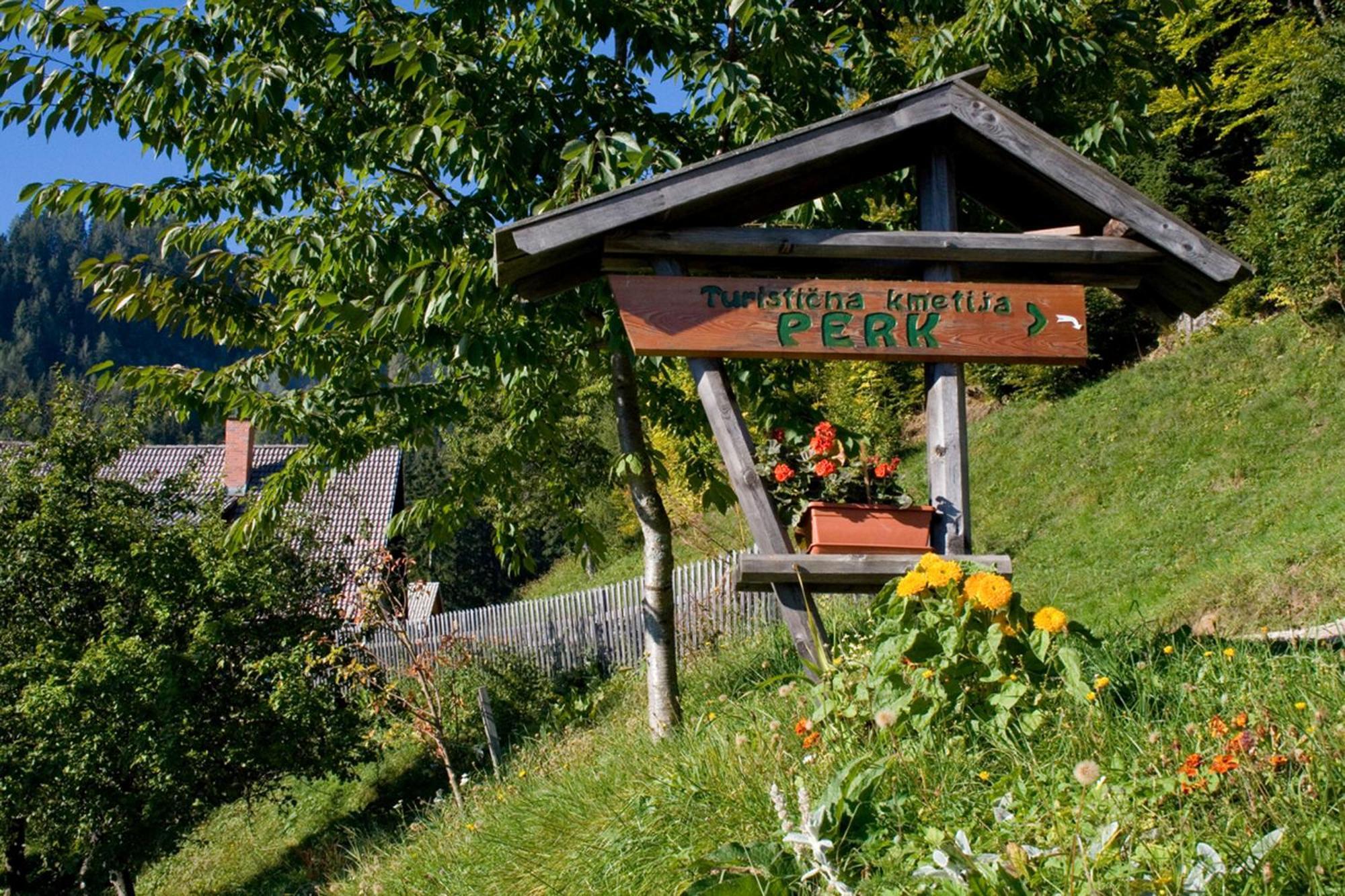 Turisticna Kmetija Perk Villa Solčava Exterior foto