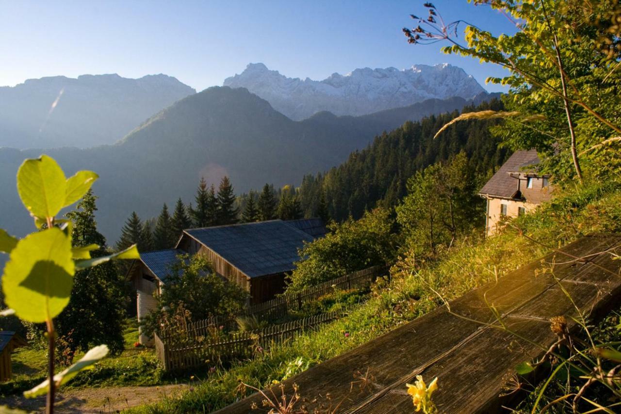 Turisticna Kmetija Perk Villa Solčava Exterior foto