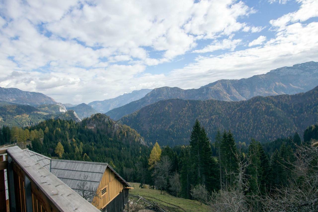 Turisticna Kmetija Perk Villa Solčava Exterior foto